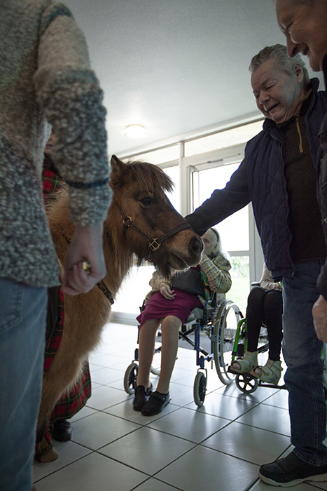 Déambulation de Noël à Prémery (58)