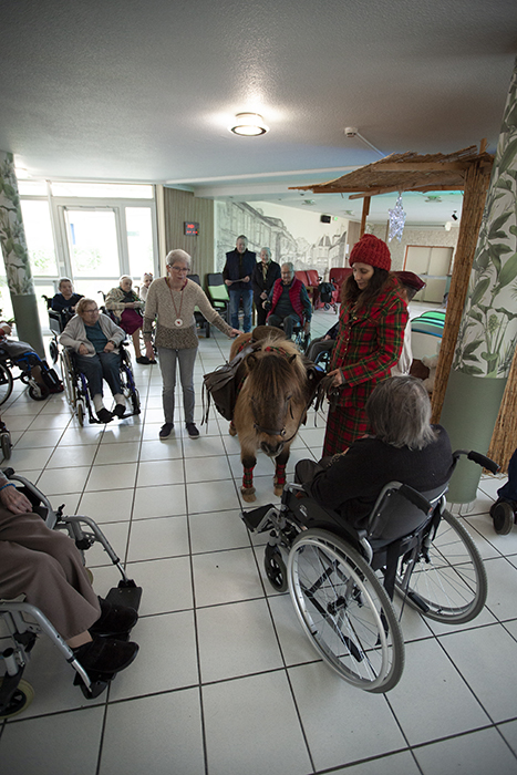 Déambulation de Noël à Prémery (58)